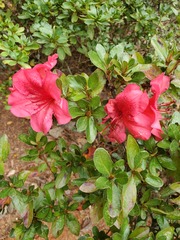 Show Us Your Pictures 4