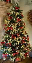Get your trees out!!!!!