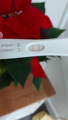 Tracking your cycle and possible BFP using RHR - part 4