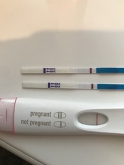 Support thread for women who are pregnant or TTC following a termination for abnormalities. Thread 7