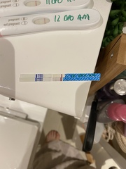 Anyone just had their BFP?