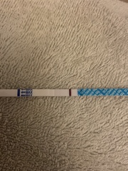 Help! Line eyes needed!