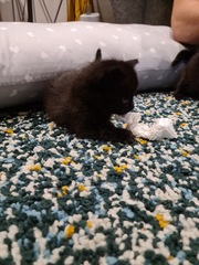 So I found something in my shed this morning...