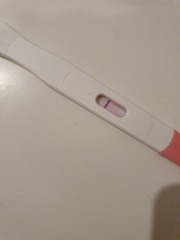 Faint lines on First Response