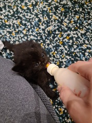 So I found something in my shed this morning...