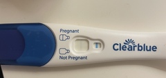 August '21 Due Dates