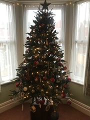 Get your trees out!!!!!