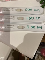 Sperm Meets Egg Plan