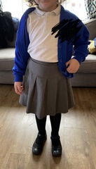 Worried about dd4s weight