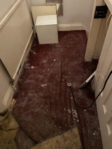Inherited nightmare house - what to do?