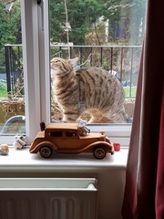 Thug cat part 3.  Unbidden guests are often welcomest when they are gone.
