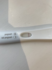 OPK peak??