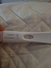 Nov Bus 20 - CD1 can suck hairy b*lls