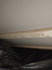 WTF?  My bed is made of cardboard