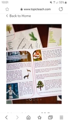 Independent online shops