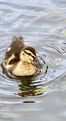 NOT what I expected to wake up to this morning...