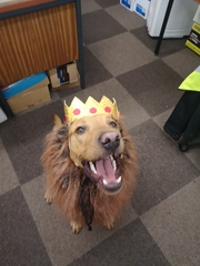 My dog is the best dog