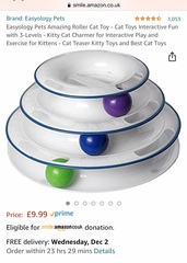 Best Cat Toys