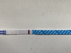 Line Eyes please! Am I just being hopeful?
