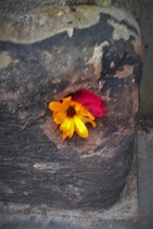 Any Witches Here? Part 12.