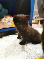 So I found something in my shed this morning...