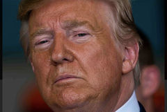 🍊 50 Shades of Donald 🍊