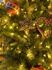 Get your trees out!!!!!