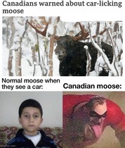 Can we have a meme thread?