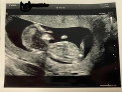 Help with the gender for fun!