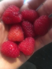 Posting pics of everything you eat thread!