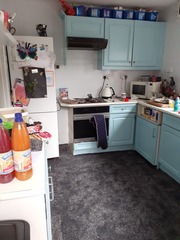 Anyone repainted their kitchen cabinets?