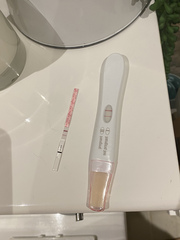 Anyone just had their BFP?