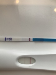 Support thread for women who are pregnant or TTC following a termination for abnormalities. Thread 7