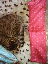 Any sewing aficionados? I need a stitch and bitch...