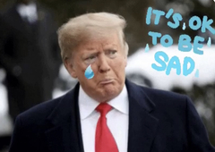 Thread for Trump memes and jokes?