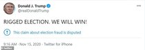 Donald has barricaded himself in the WH and we have Georgia on our minds. (Trump thread #113)