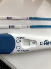 Support thread for women who are pregnant or TTC following a termination for abnormalities. Thread 7