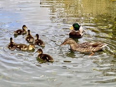 NOT what I expected to wake up to this morning...