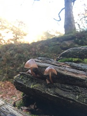 Any Witches Here? Part 12.