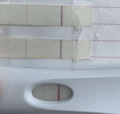 TTC after a chemical pregnancy / early miscarriage