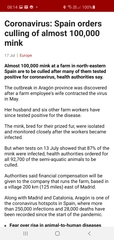 Denmark to cull up to 17 million mink due to coronavirus mutation