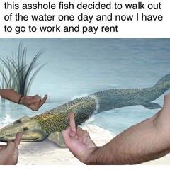 Can we have a meme thread?