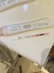 Anyone just had their BFP?