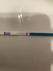 Support thread for women who are pregnant or TTC following a termination for abnormalities. Thread 7