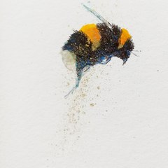 Are you an artist?
