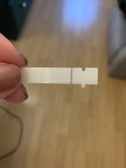 FRER positive one step negative