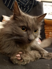 Late night toe-bean chat