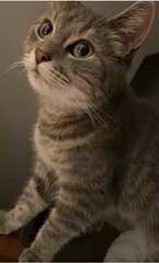 Lost my beautiful girl today