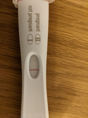 12 DPO faint line - am I pregnant?