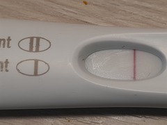 November 2020 Baby Dust Train Hopefuls!